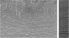 quarter-sawn